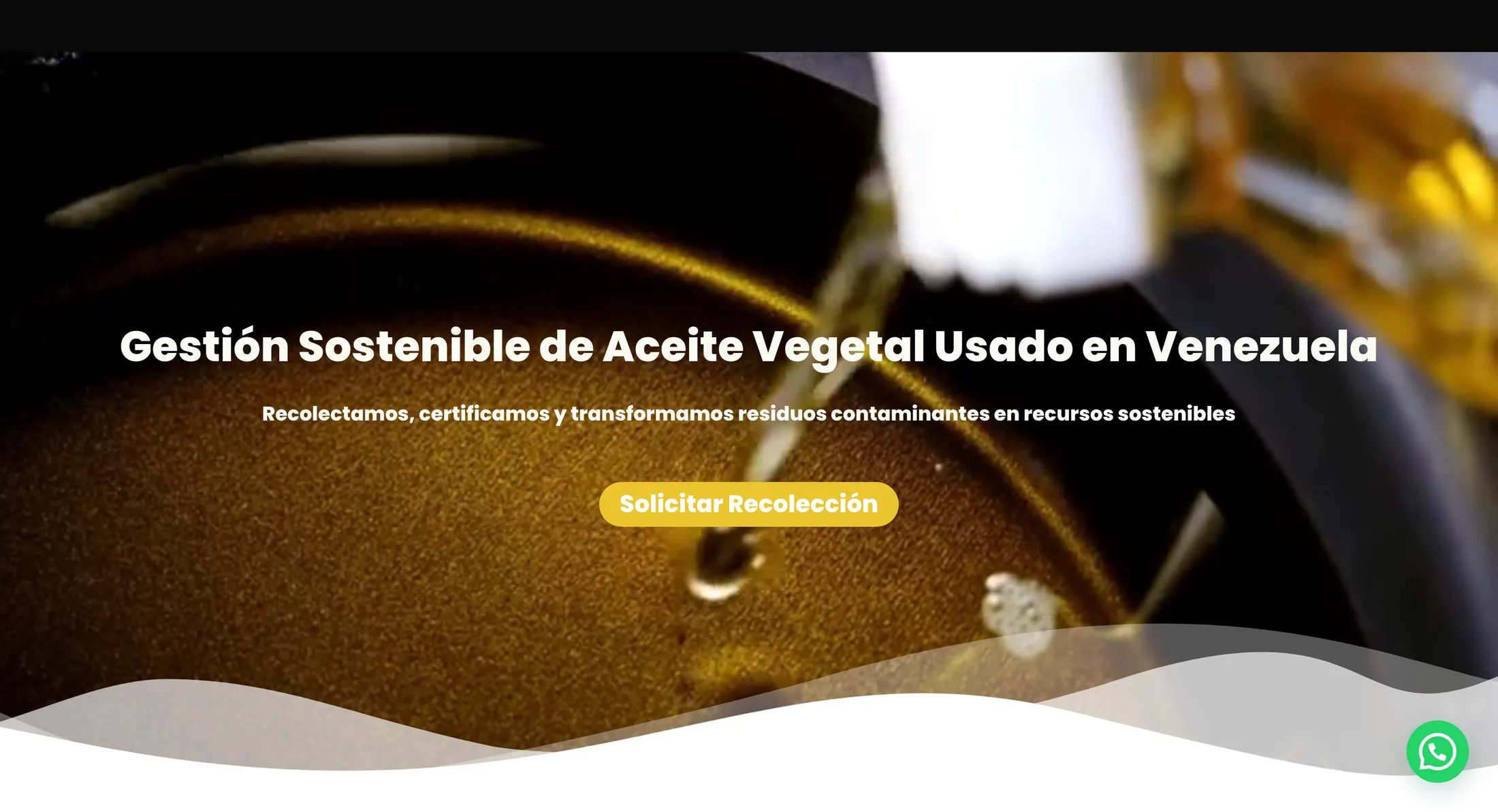 Portada de la web de Brocicla